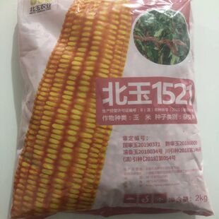 北玉1521云南矮杆玉米高产大棒紫杆2公斤正品包装发货包邮