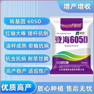 抗虫抗病耐草甘膦高产登海605D转基因玉米种子