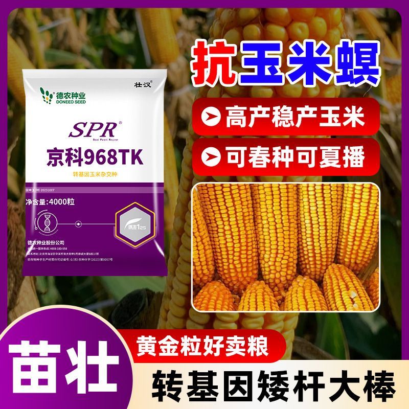 京科968TK【转基因】玉米种子大全高产大棒双胞胎矮杆抗倒苞米