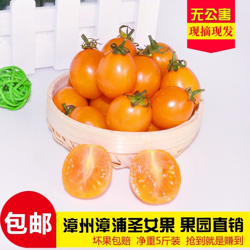 福建黄色圣女果夏日阳光新鲜小番茄自然熟多汁小千禧应季水果,水产肉类/新鲜蔬果/熟食,番茄,淘宝优惠券,粉丝福利购,淘宝优惠卷