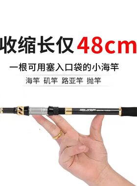 短节迷你小海杆软尾甩杆抛投竿