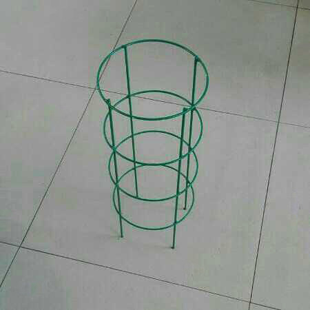 令箭荷花焊接花架球兰支架攀爬架园艺固定架蟹爪兰支撑架铁线莲架