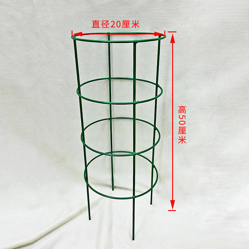 定制令箭荷花焊接花架球兰支架攀爬架园艺固定架蟹爪兰支撑架铁线