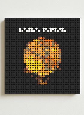 酷玩乐队专辑 Coldplay Parachutes积木专辑周边