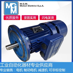 意大利MGM刹车电机BA100 BA100LB4 BA132MA6风力发电用偏航电机