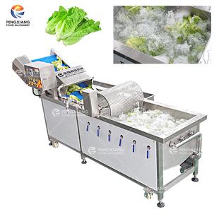 WA-1000果蔬清洗机+六工位挑选输送机工厂加工欢迎咨询