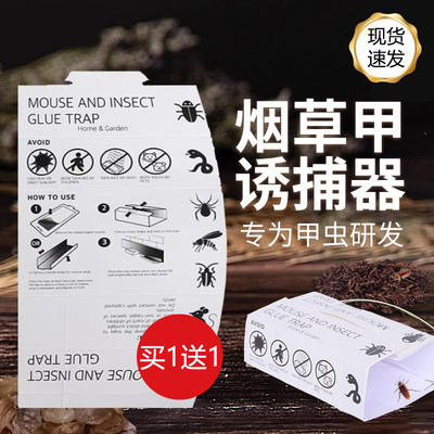 烟草甲虫诱捕器甲虫粘板除虫米虫净粮食EXPEST小飞虫烟甲虫信息素