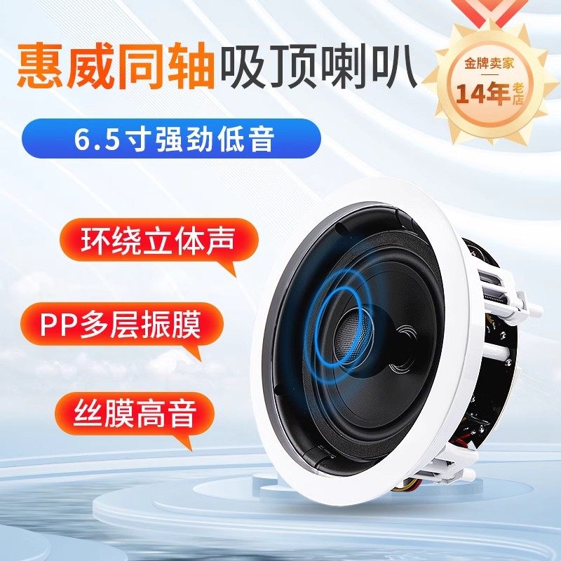 Hivi/惠威 VX6-C定阻同轴吸顶喇叭6.5寸吊顶音箱壁挂音响功放套装