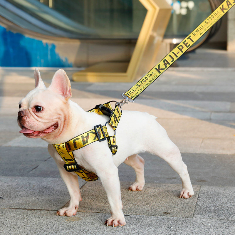 狗狗牵引绳背心式狗绳狗链子遛狗胸背带中大型犬法斗柯基宠物用品,宠物/宠物食品及用品,狗牵引绳,淘宝优惠券,粉丝福利购,淘宝优惠卷