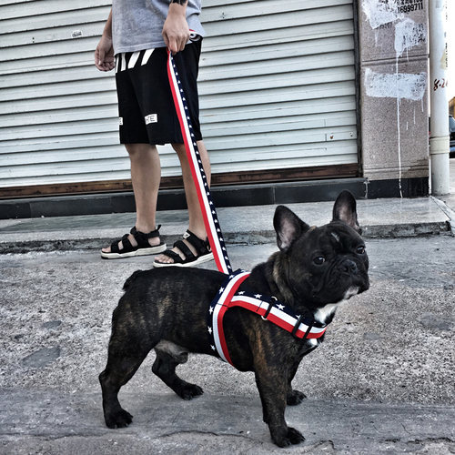 潮牌狗狗牵引绳中小型犬遛狗绳狗链子柯基法斗胸背带宠物用品项圈 - 封面