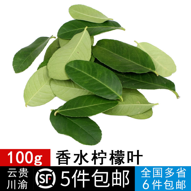 新鲜柠檬叶香料顺丰包邮