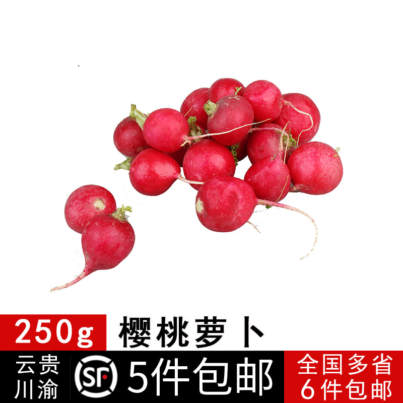 樱桃萝卜新鲜沙拉蔬菜农场直供特其它