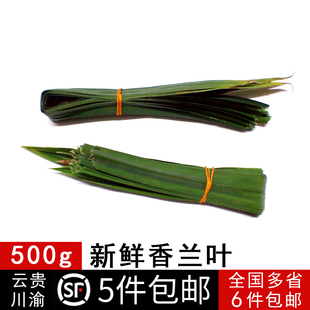 香兰叶斑斓叶斑兰叶七叶兰香草泰国兰500克新鲜香料烘焙餐饮调料