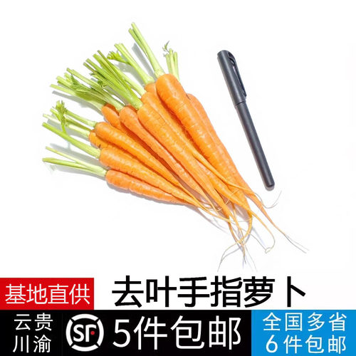 新鲜去叶手指萝卜500g水果萝卜迷你萝卜即食沙拉食材脆甜红胡萝卜