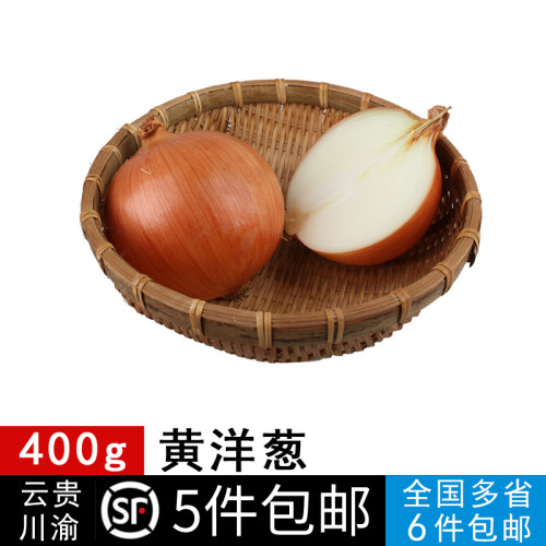 蔬菜黄洋蒜350-400g 圆洋葱 黄洋葱头现拔洋葱沙拉 5件免邮