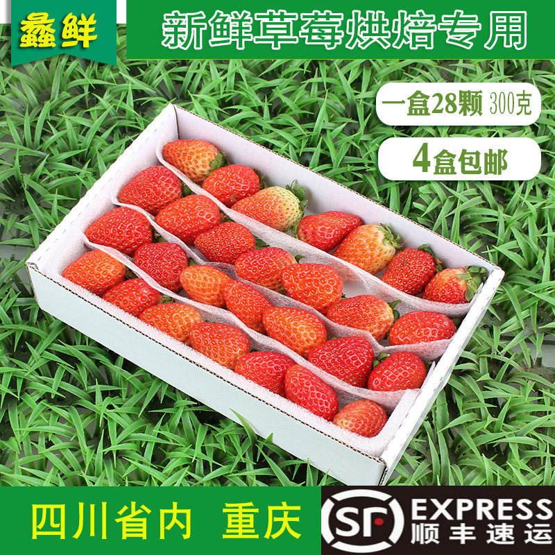 新鲜草莓 小果 28头现摘现发双流烘焙甜品酸草莓时令水果4件包邮在类目 水产肉类/新鲜蔬果/熟食, 新鲜水果, 草莓中 - 来自Buy2taobao.com提供专业的淘宝代购服务