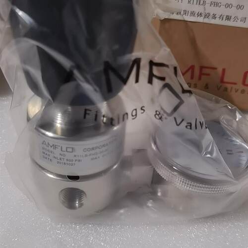 敦阳AMFLO 不锈钢减压器 R11LB-FHG-00-00