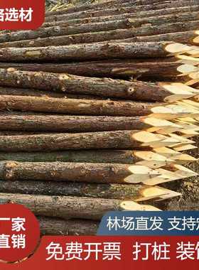 木桩打桩立柱户外河道工程测量定点围栏原木树木支撑杆杉木桩4米