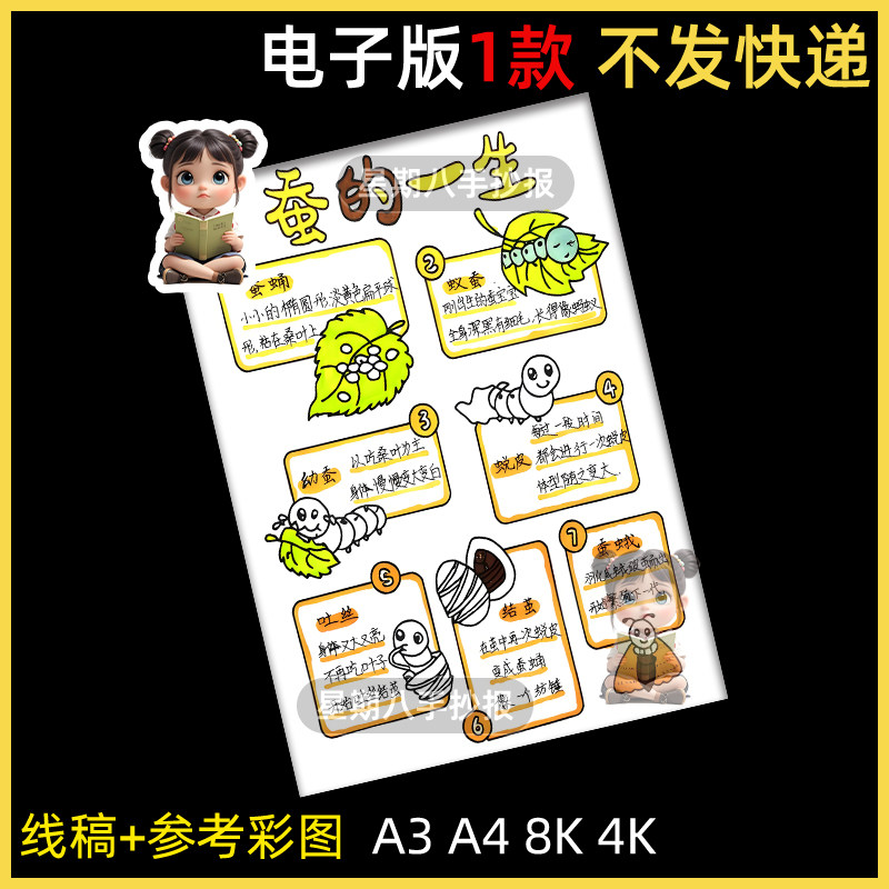 蚕的一生手抄报蚕宝宝成长记昆虫自然观察笔记蚕的生长过程儿童画