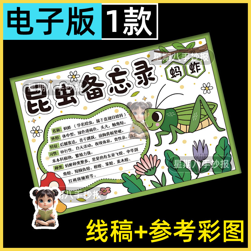 蚂蚱昆虫备忘录手抄报蝗虫自然笔记观察记录卡绘画电子线稿模板a4