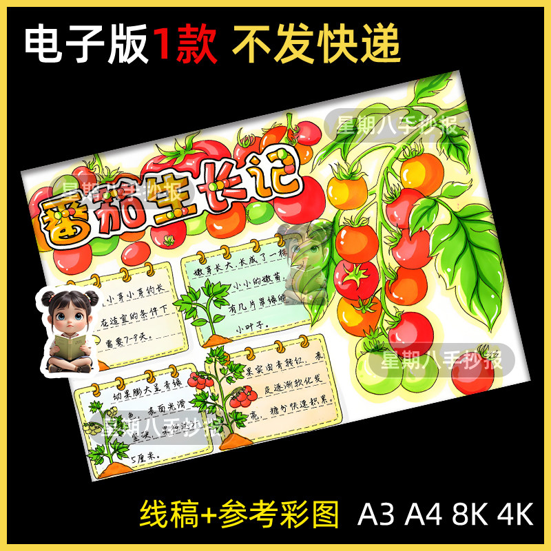 西红柿成长记番茄植物生长观察记录卡自然笔记绘画手抄报模板线稿