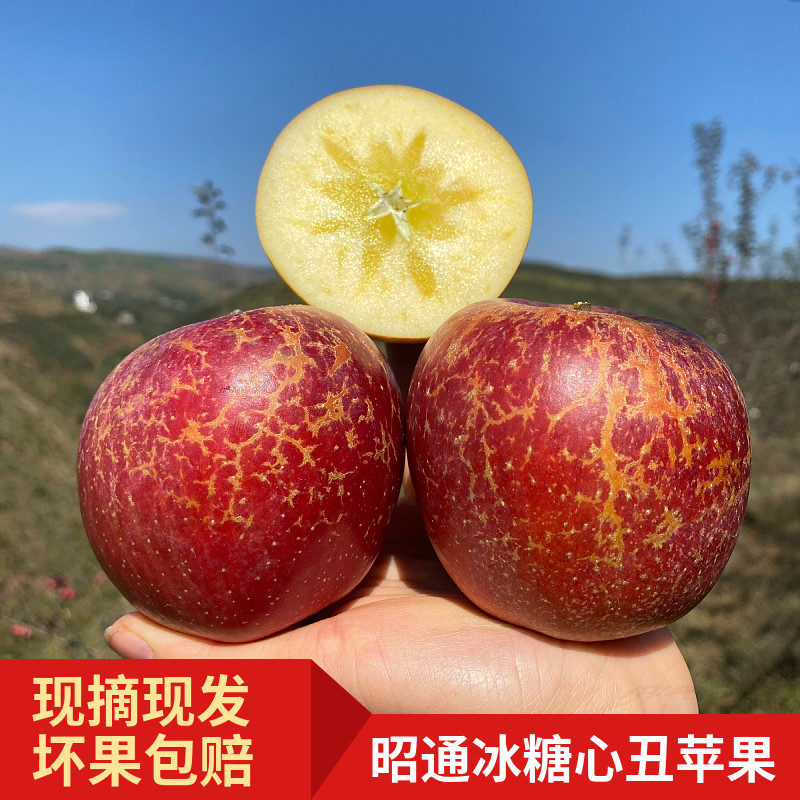 云南昭通丑苹果红富士