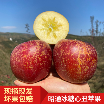 云南昭通丑苹果红富士