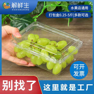 一次性水果包装盒一斤装透明带盖500M塑料盒车厘子西瓜草莓打包盒