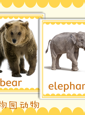 动物园动物英语单词卡片闪卡早教启蒙课堂塑封大卡教具