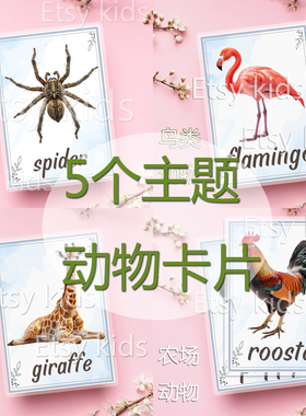 animals动物主题儿童英语启蒙单词卡片英文闪卡140张