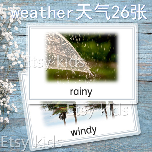 天气英单词卡片闪卡启蒙