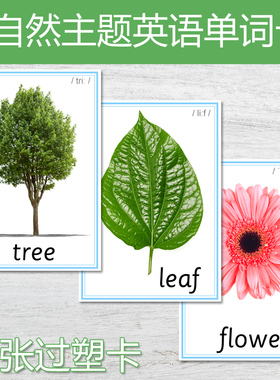 自然主题英语单词卡片儿童英文闪卡教具63张