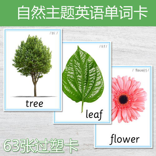 自然主题英语单词卡片63张过塑卡