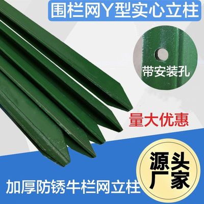 铁丝网牛栏网Y型实心加厚尖头立柱荷兰网防护网塑料养殖网立柱