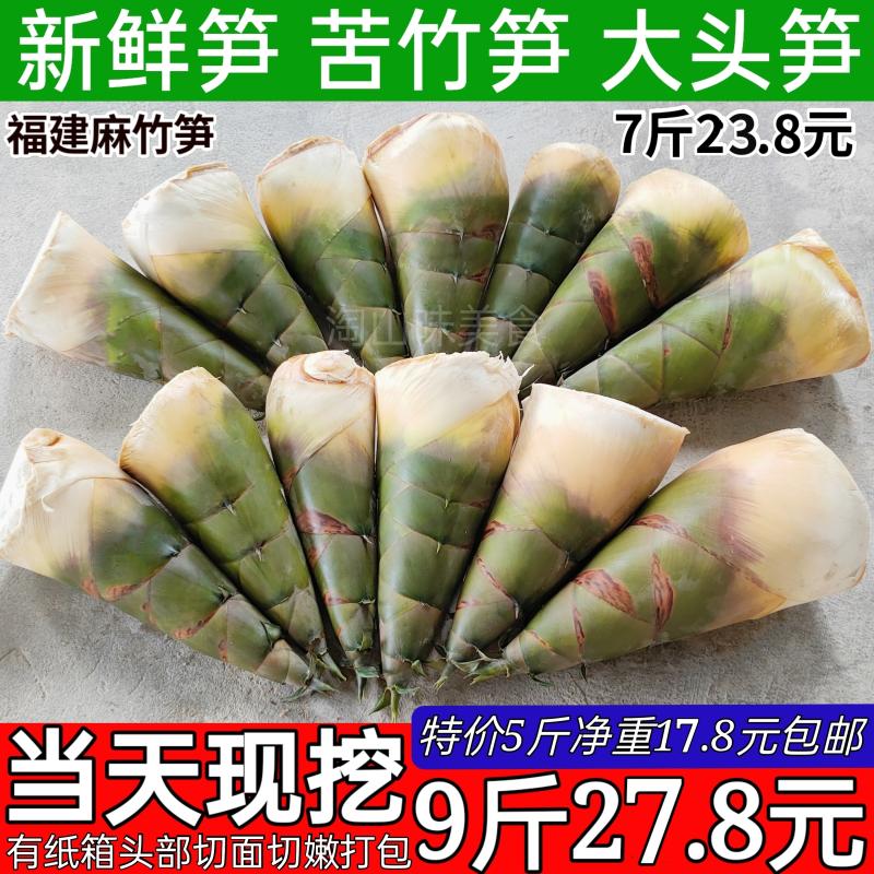 福建竹笋,福建雷竹笋,福建竹笋冻(第12页)_大山谷图库