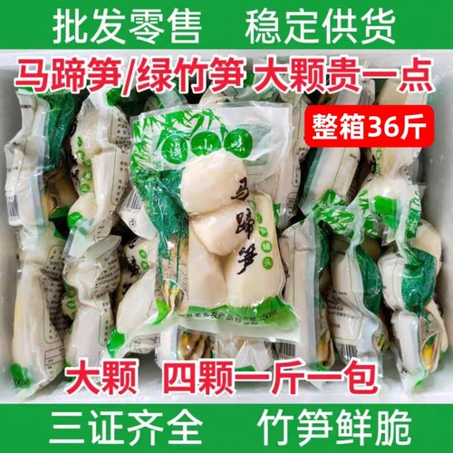 淘山味整箱36斤马蹄笋肉袋装真空整箱黄金笋绿竹笋水果笋清水绿笋
