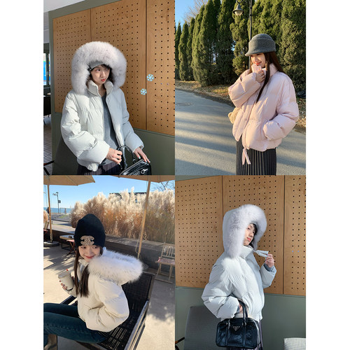 酸奶的衣橱90白鸭绒短款羽绒服