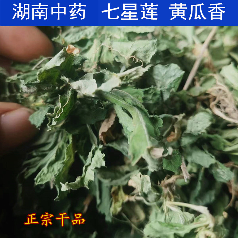 中药材黄瓜香晒干7叶草七星莲草药地白草干品500克包邮