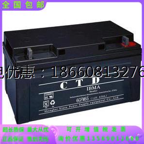 CTD蓄电池6FM65免维护铅酸12V65AH太阳能船舶机房基站 UPS电源