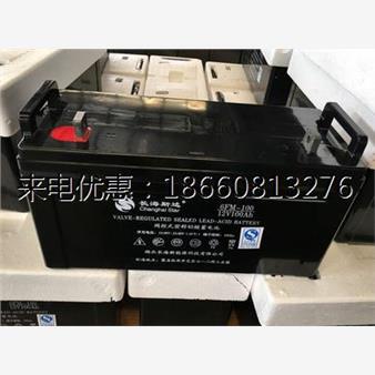 长海斯达铅酸免维护蓄电池12v100an