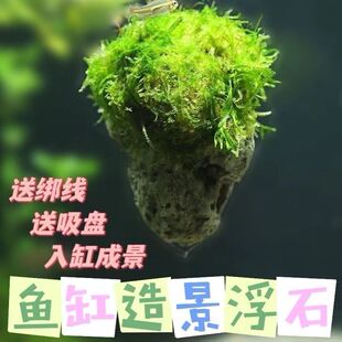 鱼缸造景悬浮石天然原石轻石水草悬空石草缸装饰石