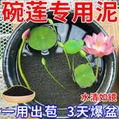 碗莲专用泥水草泥碗莲专用泥不臭水不浑水碗莲睡莲水培植物营养泥