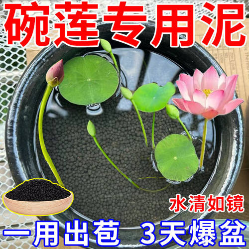 碗莲专用水草泥养荷花睡莲花营养泥土水培植物不浑水鱼缸造景底砂