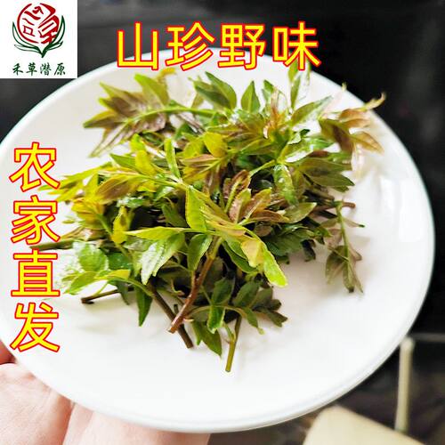 沂蒙山露天野生头茬花椒芽
