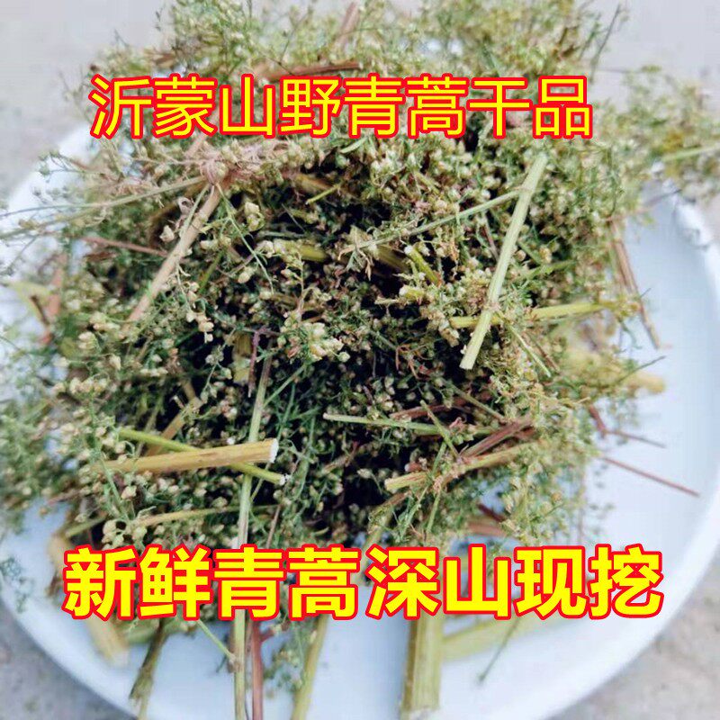 新鲜青蒿苦蒿黄花蒿臭蒿草婴儿泡澡现采现发干品中药材批代发包邮