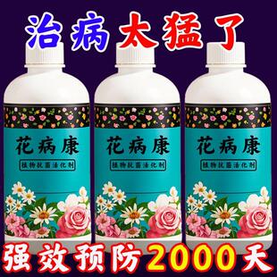 花病康植物花卉通用型花病康免稀释直喷型家庭园艺防备抗菌活性剂