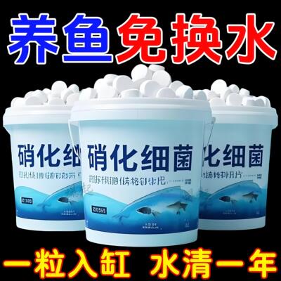 鱼缸硝化细菌澄净化水质除臭去腥