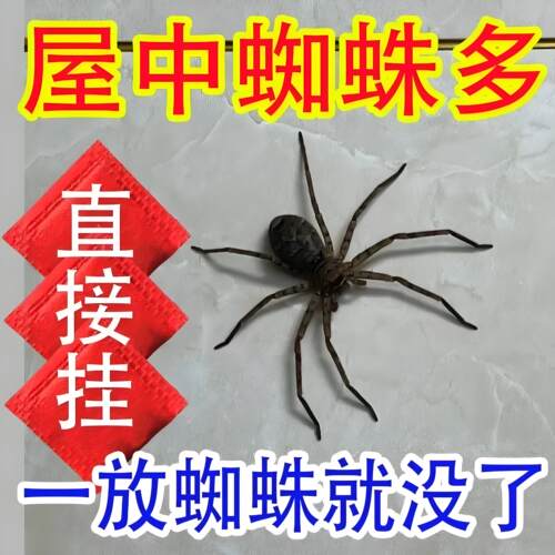 蜘蛛专用药家用无毒灭蜘蛛