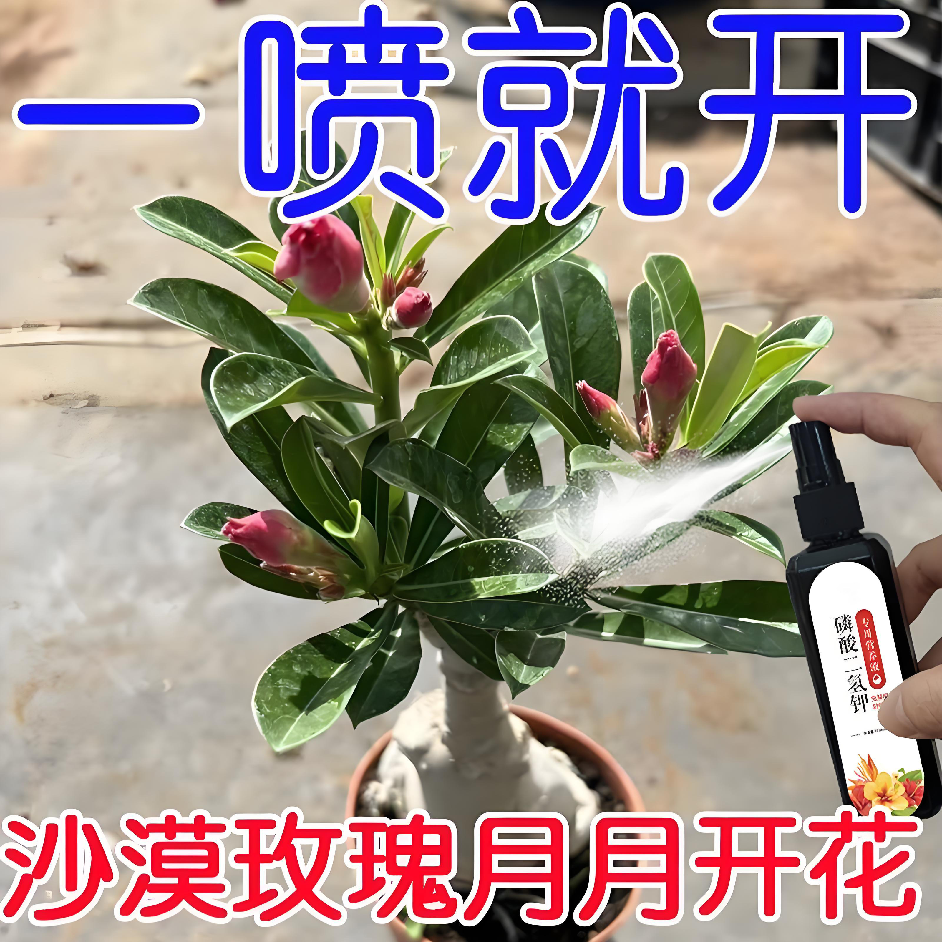 磷酸二氢钾花肥料盆栽通用型花卉专用促花磷钾叶面肥正品其他肥料,鲜花速递/花卉仿真/绿植园艺,家庭园艺肥料,淘宝优惠券,粉丝福利购,淘宝优惠卷