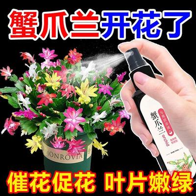 【2024新款】蟹爪兰专用营养液